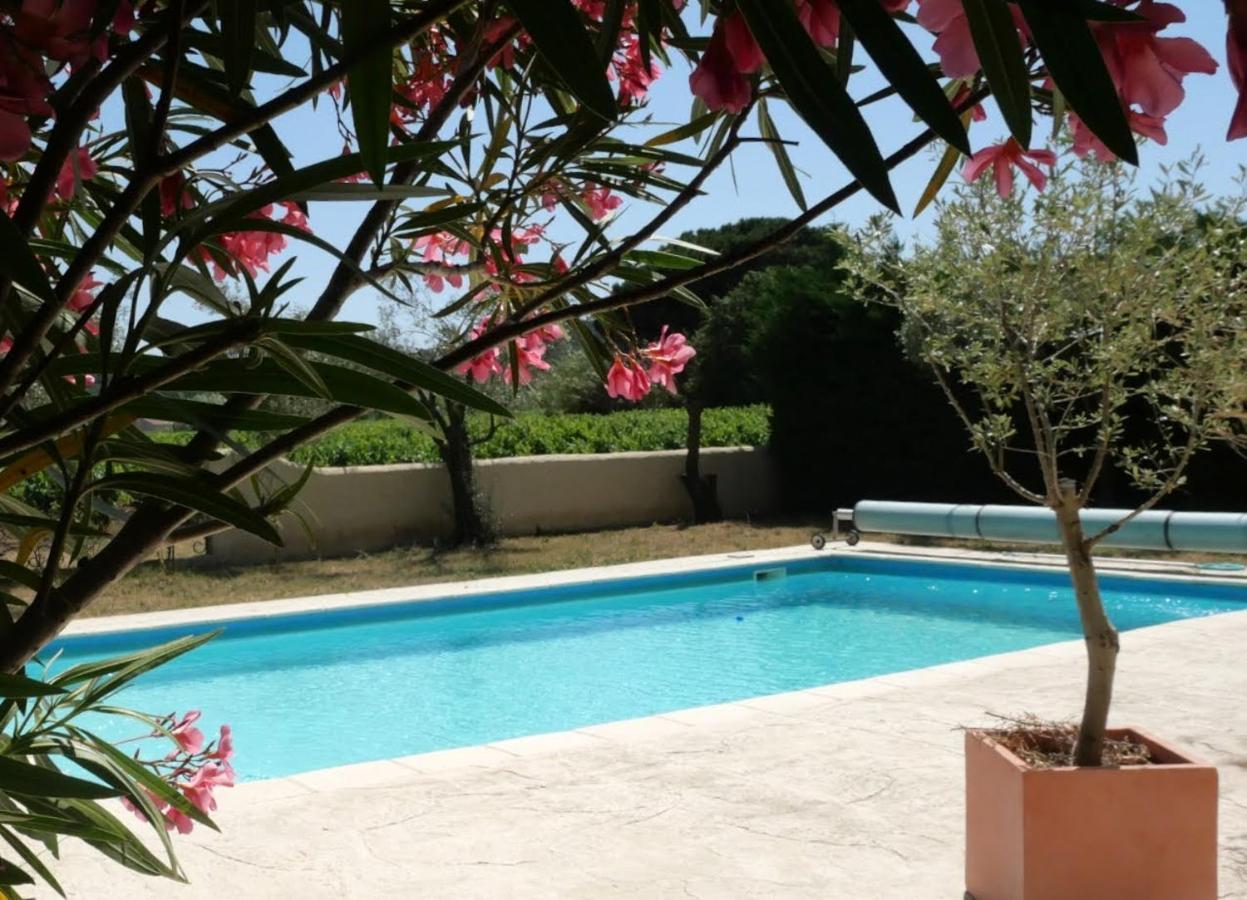 Maison D'Hotes Le Mas Des Vignes Hotel Rochegude  Ngoại thất bức ảnh